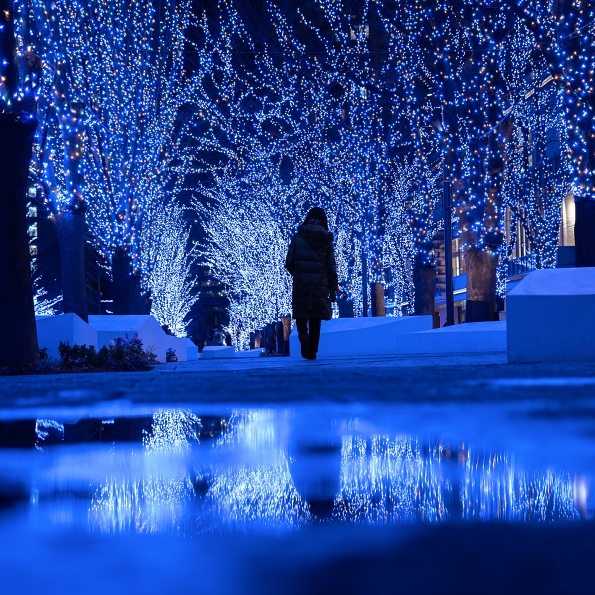 写真展｜ヨコハマノウタ　シーズン7 2026年1月21日（水）−2月1日（日） 12：00−19：00（日曜日17：00まで） 月・火曜日休廊 鈴木知子撮影「みらいへの道」